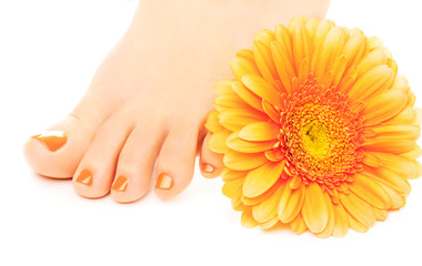 beautiful orange manicured nails with gerbera