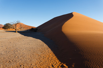 Fototapeta na wymiar Sossusvlei dunes