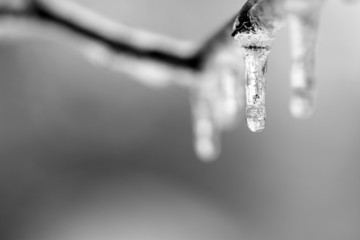Hanging Icicle