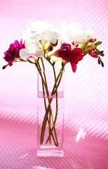 Beautiful spring flowers in glass vase on pink background