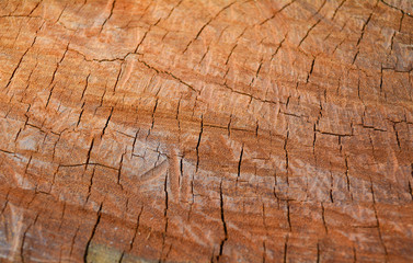 Wood background