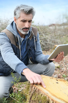 Environment scientist looking at tree trunk and using tablet