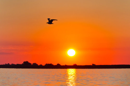 Fototapeta sunrise in the Danube Delta