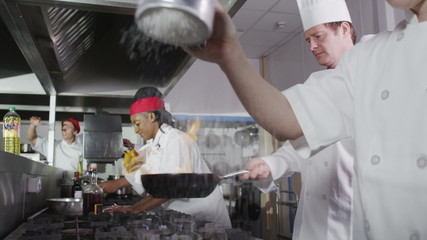 Team of professional chefs preparing and cooking food in a commercial kitchen.