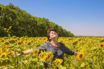 Naklejka na ściany i meble Woman with hands placed in parties among sunflowers