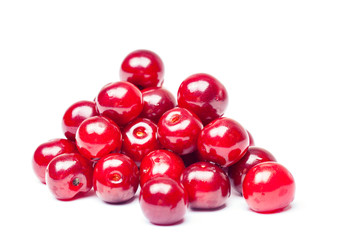 Cherry on a white background