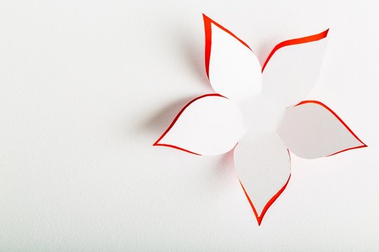 Design. Greeting card with paper flower