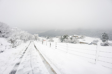 Fototapeta premium winter landscape with road and car track