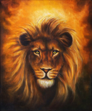 Lion close up portrait, lion head with golden mane, beautiful 
