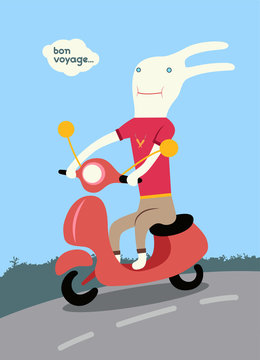 Funny cartoon rabbit riding a scooter. Vector illustration.