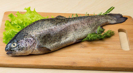 Raw fresh trout