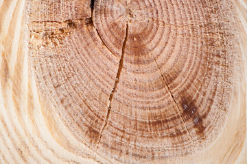 Naklejka premium wood background