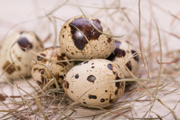 Naklejka na ściany i meble Easter eggs in a nest from a dry grass