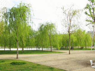 Green park
