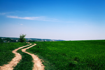 Beatiful morning green field with blue heaven