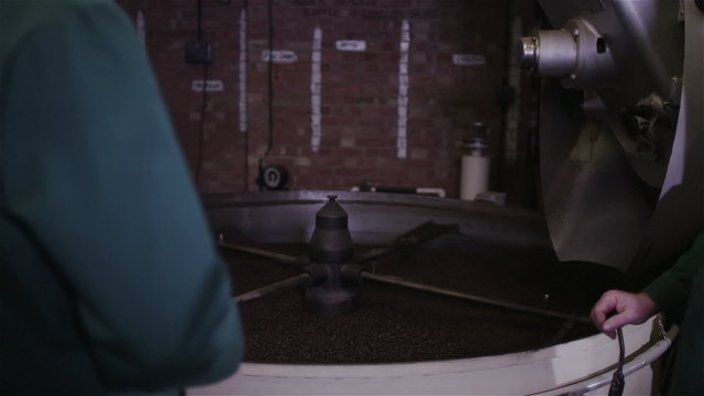 Workers in a coffee processing factory checking the quality of the product