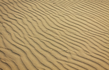 Small sand dunes on the beach