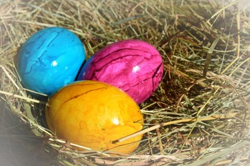 Bunte Ostereier im Osternest