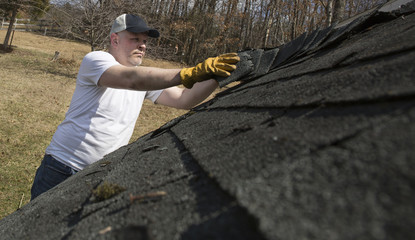 Man wearing work gloves taking shingles off a shed roof © cindygoff