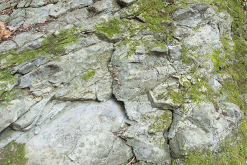 stone detail