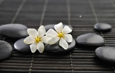 Two gardenia flowers and black stones on mat