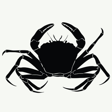 black crab silhouette on white background clip art preview