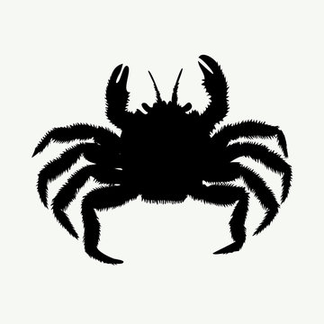 black crab silhouette on white background clip art preview