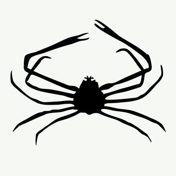recommend clip art: vector crab silhouettes