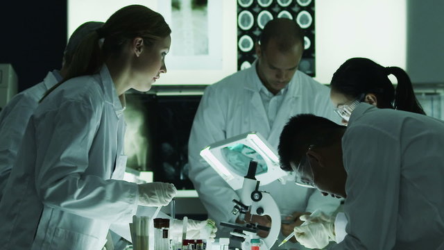 Multi ethnic scientific research team working in the lab