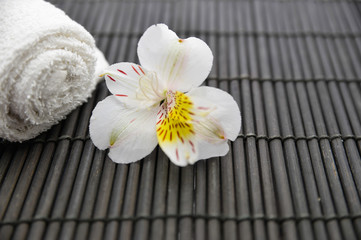 white orchid flowers and towel on mat