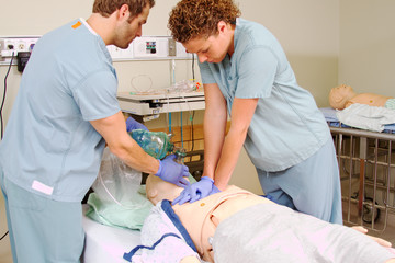 Two staff practicing CPR on mannequin - obrazy, fototapety, plakaty