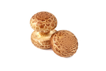 fresh crimini mushroom on white background