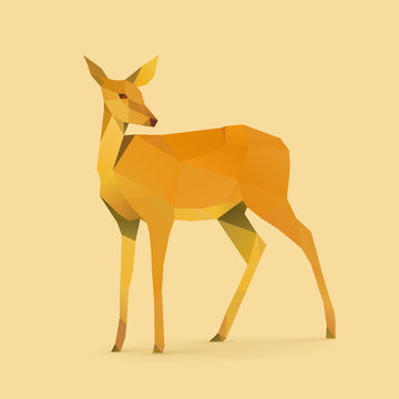 doe