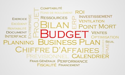 Nuage de mots Budget