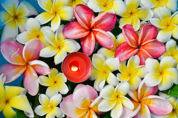 Top view many white and pink frangipani with red candle in water