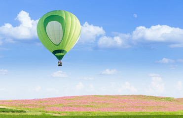 Hot air balloon over pink cosmos fields with blue sky background