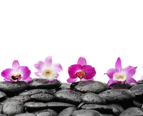 Obraz na płótnie Canvas Still life with four orchid on wet zen stones