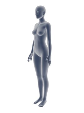 woman body