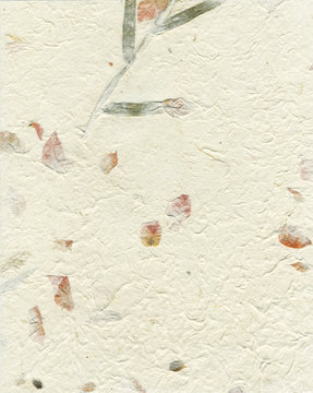 Petal Ivory Paper Background