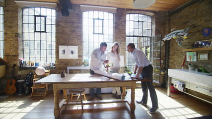 Informal business group working together in a light and natural interior setting