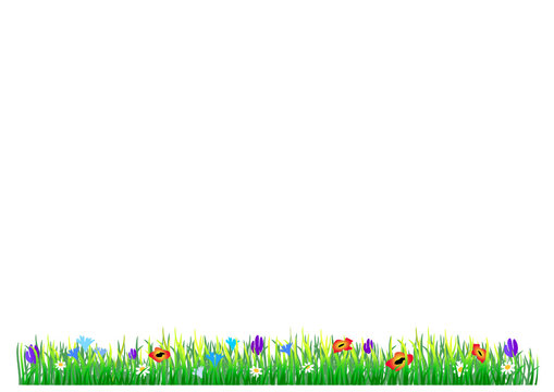 Green grass and flowers on the white