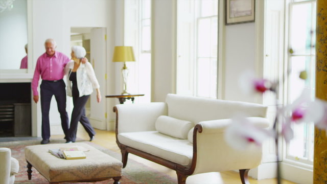 Happy contented senior couple relaxing together in elegant home