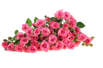 Bouquet of pink roses