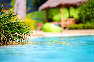 beautiful tropical pool with thatch on background