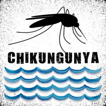 Mosquito, standing water, Chikungunya virus text