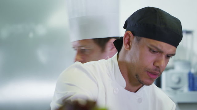 Team of professional chefs working together in a commercial kitchen