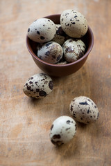 Ceramic bowl with quail eggs, close-up, selective focus