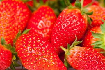 Ripe strawberries