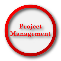 Project management icon