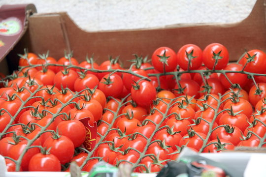 Cart with vegetables,Tomatoes, Catalonia